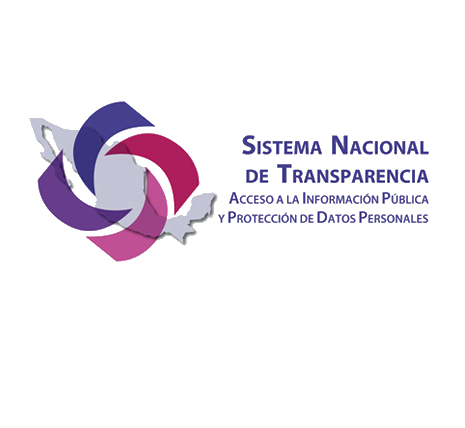 logo SNT